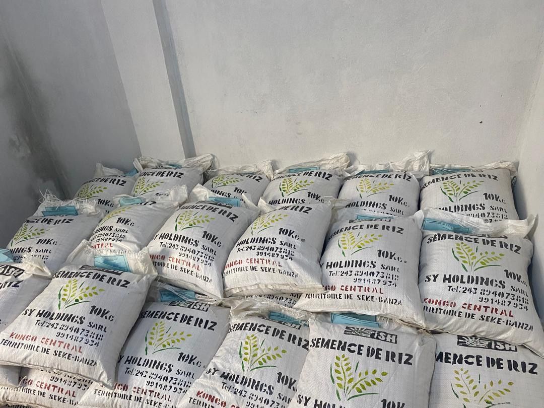 Sacs de semence de riz Sy Holdings de 10 kg